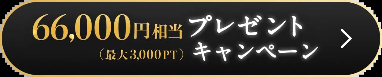 最大3,000PT (66,000円相当) プレゼントキャンペーン